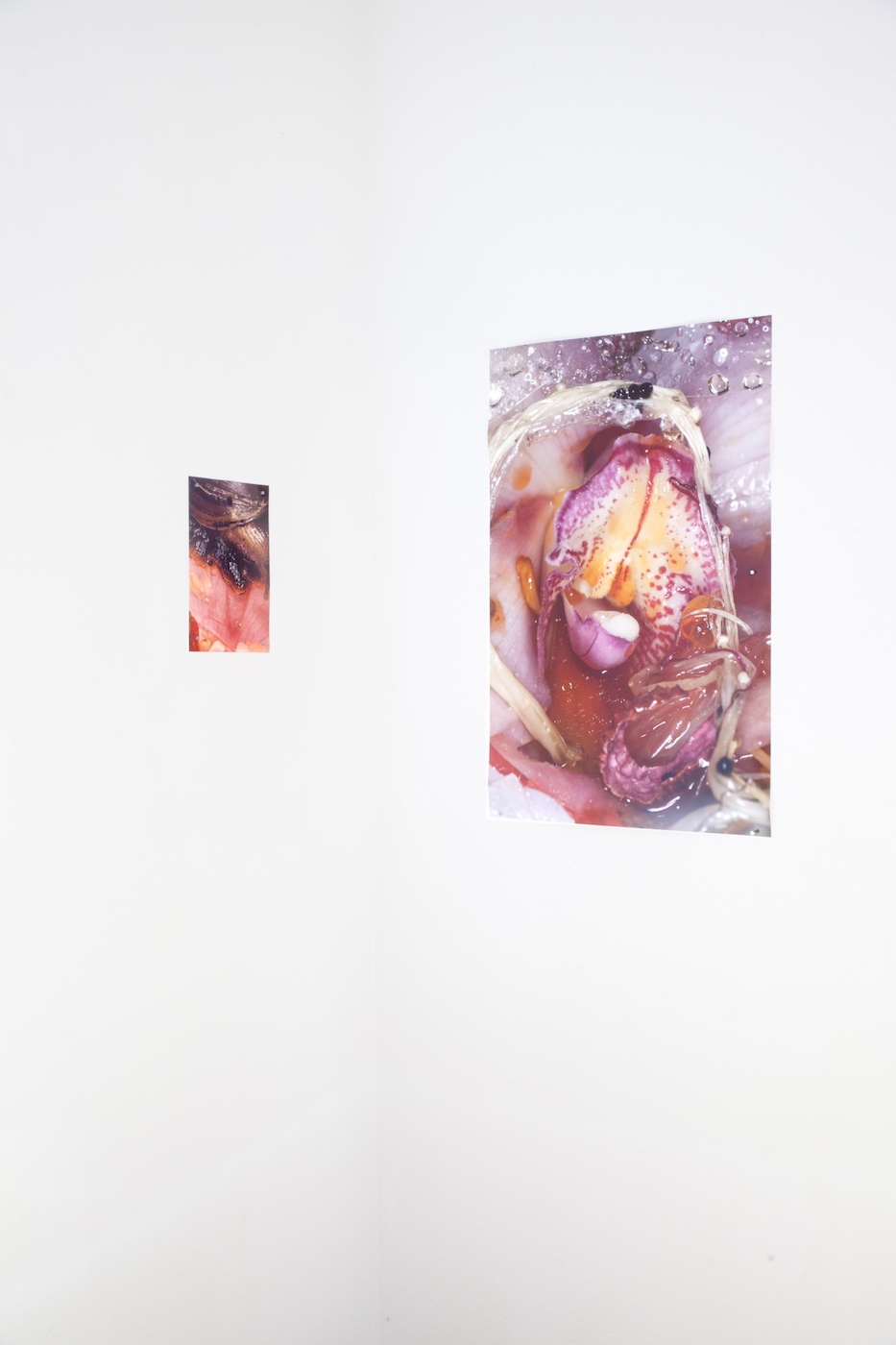 Aline Bouvy, Emeline Depas, Maisie Cousins, Eloïse van der Heyden, Marie Jacotey, Alix Marie, Lindsey Mendick, 
Anastasia Pavlou & Anousha Payne, group show,Alix Janta-Polczynski, Island, Brussels, artist run space, Islandbrussels, island island, island brussels